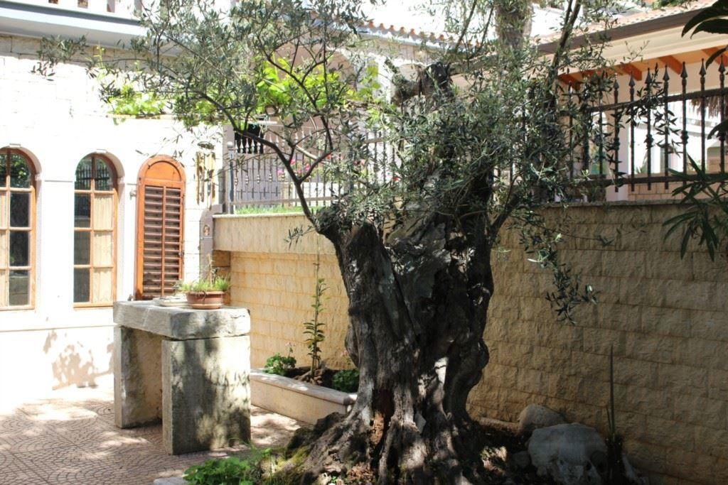 Apartment Maras Porec Room photo